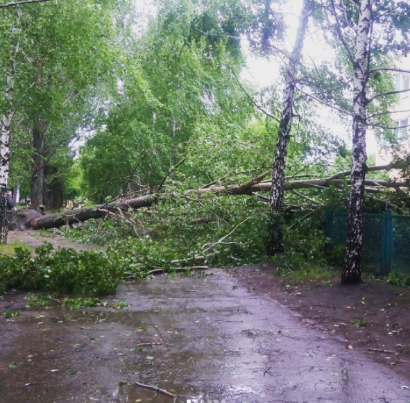 Хроника страшного ливня в Ульяновской области в фотографиях и видео жителей Хроника страшного ливня в Ульяновской области в фотографиях и видео жителей
