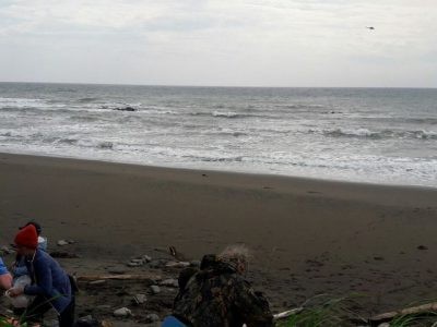 Вертолетчики Росгвардии спасли туристов на Сахалине Вертолетчики Росгвардии спасли туристов на Сахалине