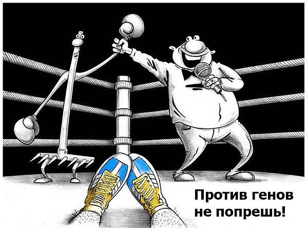 "Мыздобулы" в картинках. Смешных и не очень...19.07.2017