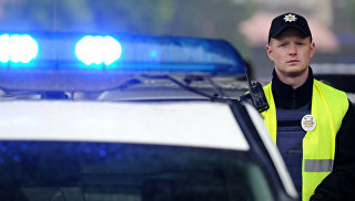 В Австрии осудили двух украинцев за ограбление пенсионерки и избиение ее сиделки