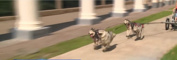 В Сочи придумали новое развлечение для туристов