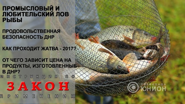 Поймали с поличным! Борьба с браконьерством в ДНР. Почему рыбхозы в упадке еще со времен СССР? 05.07.2017, "Закон"