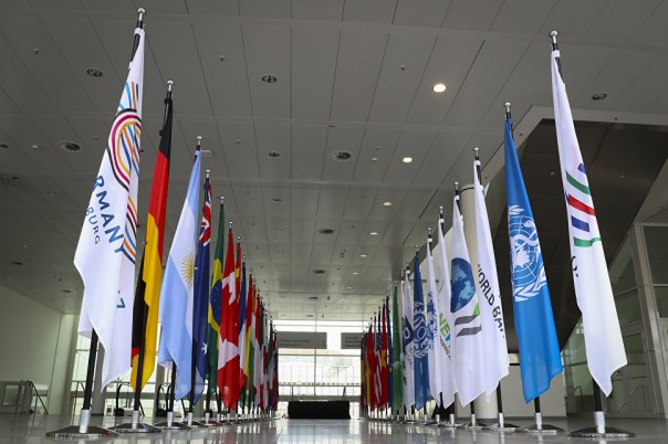 Правда о саммите G20. Фельетон-прогноз. Green Tea