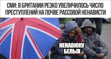 "Мыздобулы" в картинках. Смешных и не очень...10.07.2017