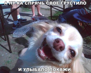 "Мыздобулы" в картинках. Смешных и не очень...12.07.2017