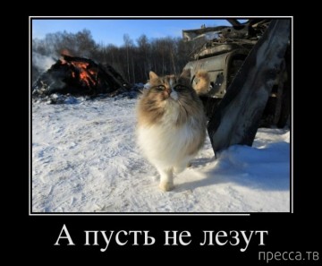 "Мыздобулы" в картинках. Смешных и не очень...12.07.2017