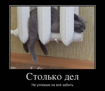 "Мыздобулы" в картинках. Смешных и не очень...12.07.2017