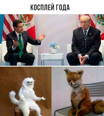 "Мыздобулы" в картинках. Смешных и не очень...12.07.2017