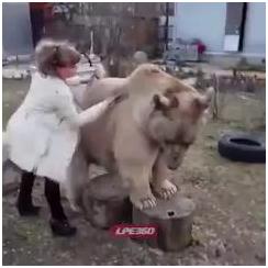 А как ты ухаживаешь за своим медведем?