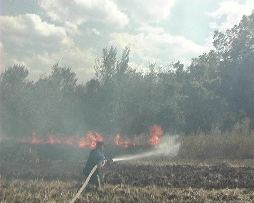 Сводка от НМ ЛНР 15 августа 2017. Укрофашисты готовят провокационный обстрел своих позиций с жертвами