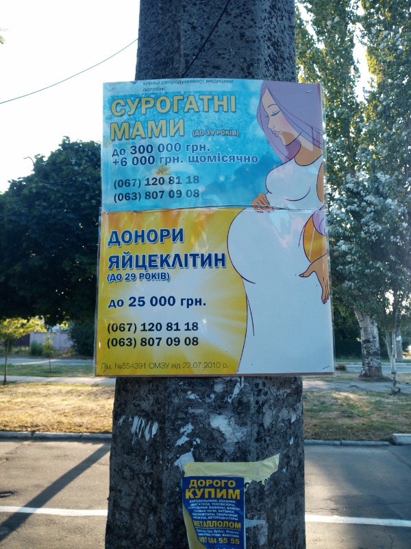 Суррогатная мачеха "Украина"