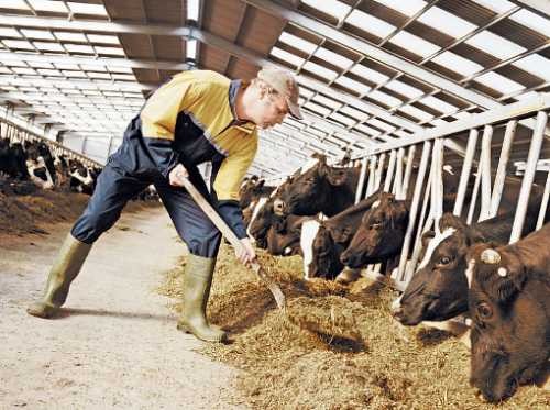 Риски украинских гастарбайтеров: каждого третьего обманули в условиях работы и проживания