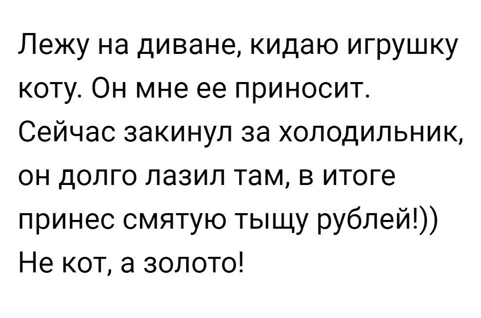 Сейчас несу. Кошка для детей. Смешные мемы. Мемы комиксы. Барсика пора нести в церковь.