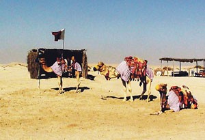 Щит и мяч малой сверхдержавы. За накатом соседей на Катар стоит Лондон