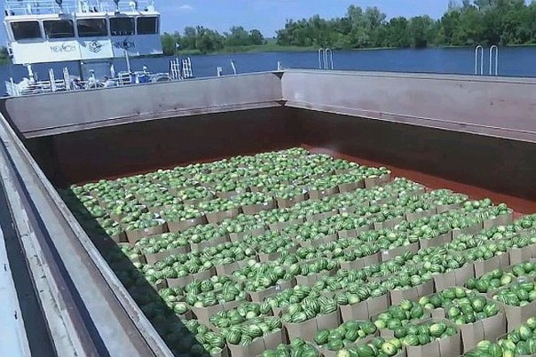Из Херсона – в Киев: в ответ на парад ВМФ РФ Украина с гордостью запустила баржу с арбузами