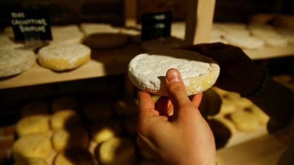 CBC: российские сыровары просят у Запада ещё 10 лет санкций