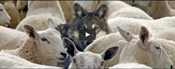 К.Семин: Два. Разных. Отечества