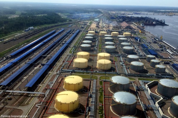 Балтийские тигры облизываются. Павел Шипилин