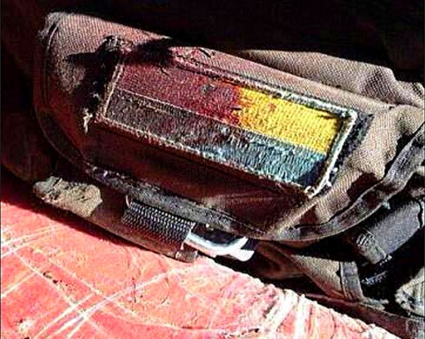 Парад для восторженных убийц. Юлия Витязева