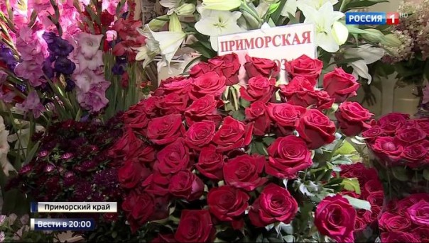 1 сентября некоторые российские школы откажутся от букетов в пользу благотворительности