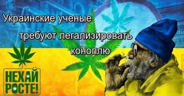 Украинский историк объявил, что у русских нет ни капли славянской крови