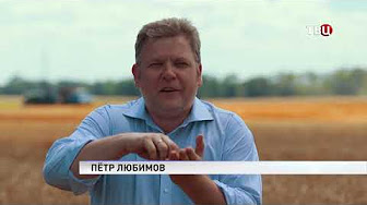 Закрома большой политики. Специальный репортаж