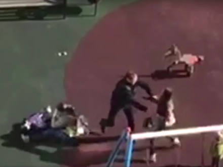 Женщина ударила ногой трёхлетнего ребенка, защищая свою собачку. Видео.