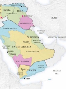 После Халифата - Роджава, Тьерри Мейсан