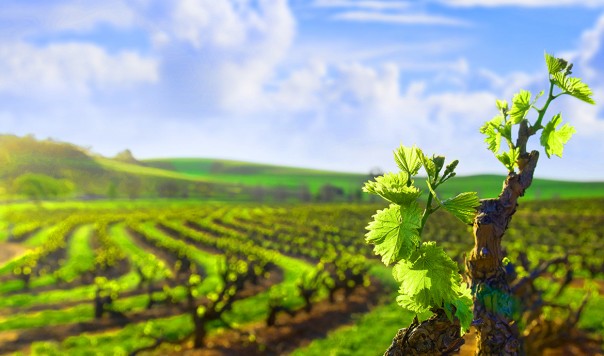 Крым не собирается выплачивать компенсации Киеву