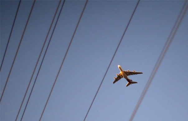 Госавиаслужба Украины выписала российским авиакомпаниям 20 тыс. штрафов