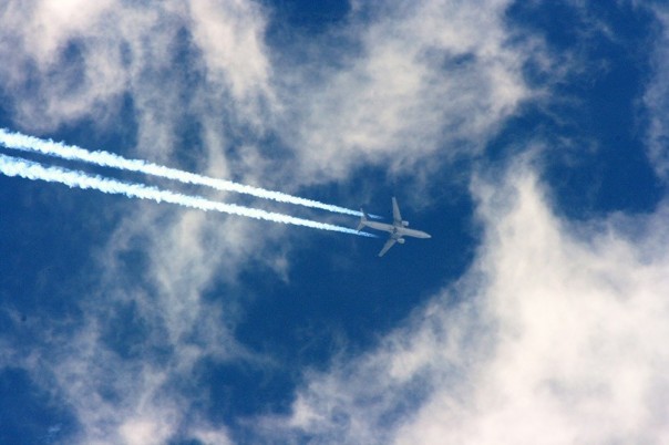 «Политические грабли» США: как Америка обвинила Россию о несоблюдении Договора по открытому небу и сама нарвалась