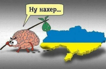 Дебилизм демократии. В его предельном её воплощении