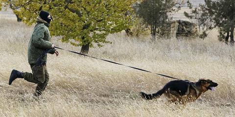 Засели в сарае: очевидец рассказал, как был убит пограничник-кинолог в Курской области