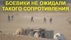 10 против 80: Русские добровольцы в Сирии