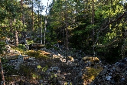 Под Петербургом восьмилетняя девочка объявила себя «шахидкой»