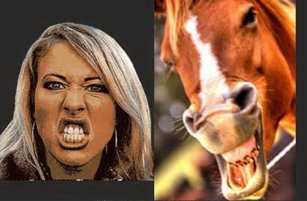 Ход лошадью в 20!8