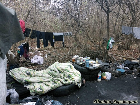 В Харькове женщина жила в лесополосе с грудным ребенком