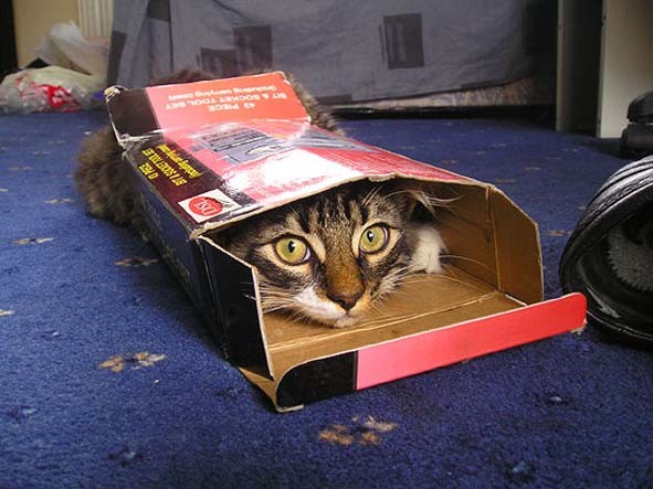 Сказочка на ночь.