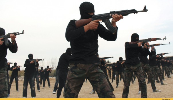 «Новая сирийская армия»: последняя надежда США затянуть конфликт