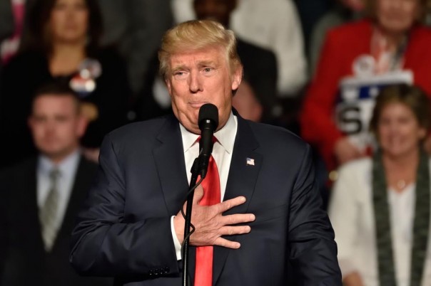 Иранская авантюра: Трамп отдает бразды правления неадекватной Хейли