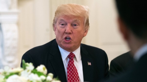 Дональд Трамп. Удар властью