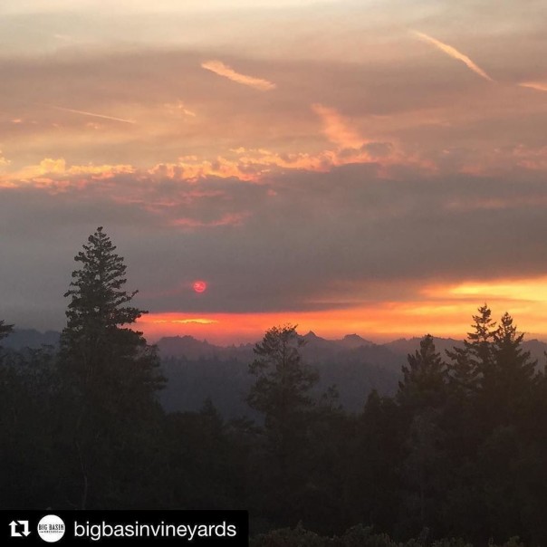 17 октября в Швецию пришла ТЬМА.