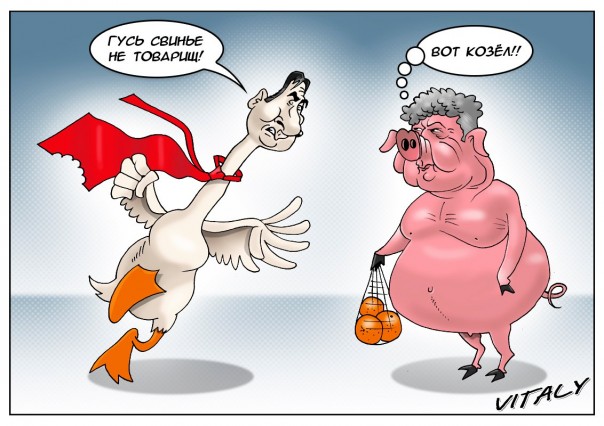 "Мыздобулы" в картинках. Смешных и не очень...18.10.2017