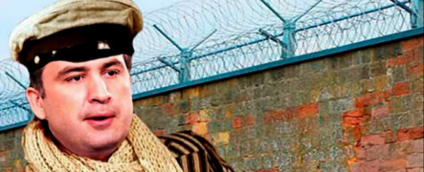 «Золотой телёнок» по-украински в исполнении Саакашвили