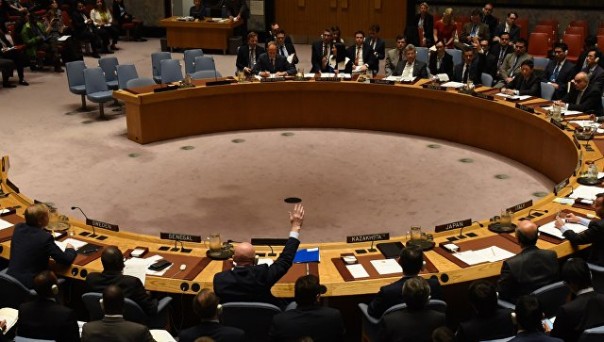 Россия заблокировала проект резолюции Совбеза ООН по миссии ОЗХО в Сирии