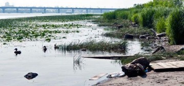 Домайданились — Днепр пересох