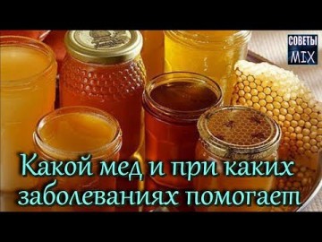 Виды меда: Какой мед и при каких заболеваниях помогает. Целебные свойства и польза меда