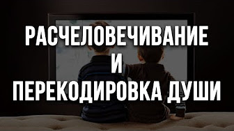 Расчеловечивание и перекодировка души. Как воспитывать детей во времена падения нравственности?