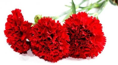 Месяц двух революций: об абсолютном провале запланированного «восстания»