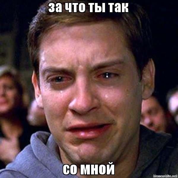 Перевёл, чтобы оскорбиться